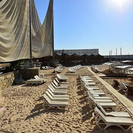 Adenya & Halal Alanya