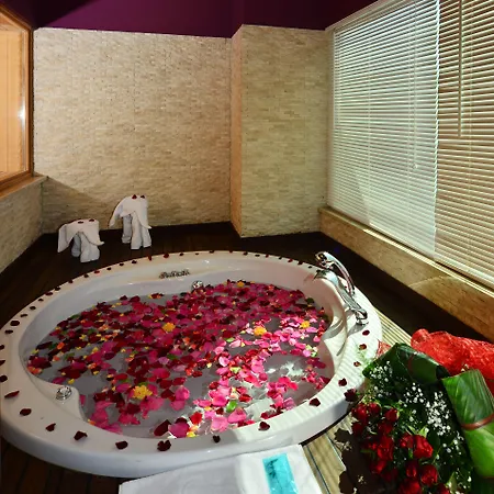 Adenya & Halal Αλάνια